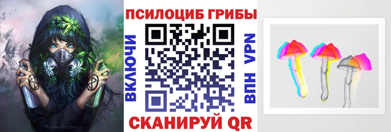 магазин продажи   Агрыз  Псилоцибиновые грибы Psilocybe 